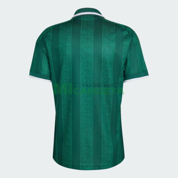 Camiseta Sudáfrica Segunda Equipación Mundial 2026 Verde