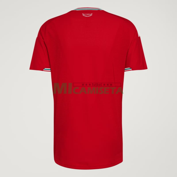 Camiseta Gales Primera Equipación Mundial 2026 Rojo