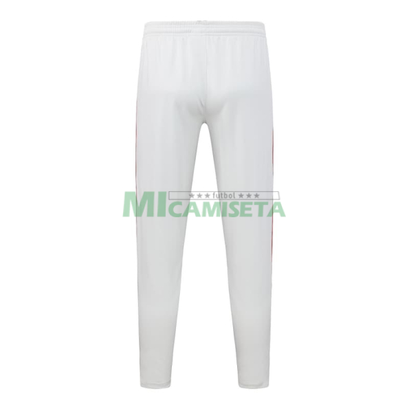 Sudadera De Entrenamiento Flamengo 2025/2026 Gris Claro