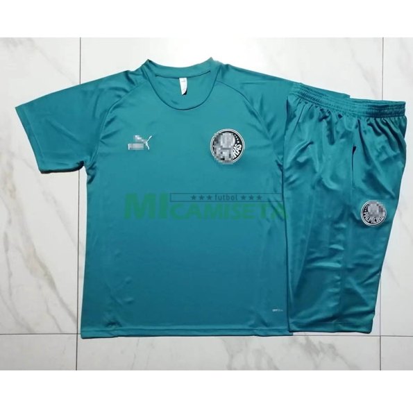 Camiseta de Entrenamiento Palmeiras 2023/2024 Azul