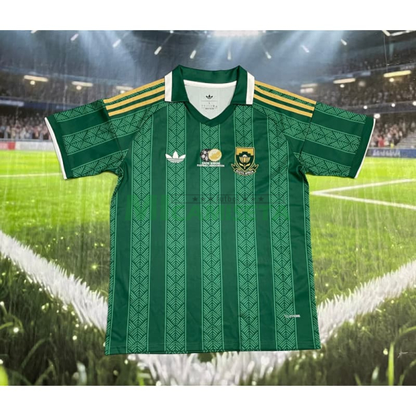 Camiseta Sudáfrica Segunda Equipación Mundial 2026 Verde