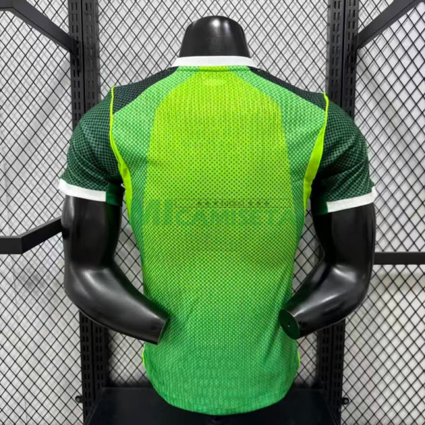 Camiseta Nigeria Primera Equipación Mundial 2026 Verde (EDICIÓN JUGADOR)