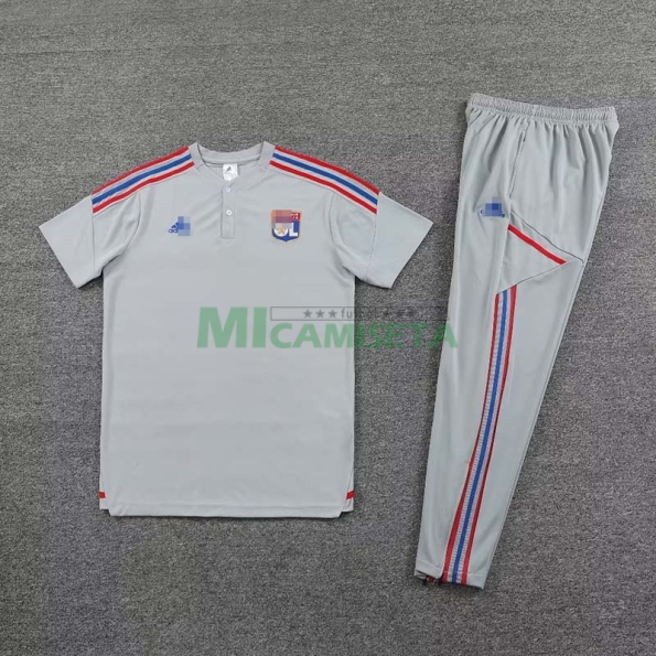 Camiseta de Entrenamiento Olympique Lyon 2023/2024 Kit Gris