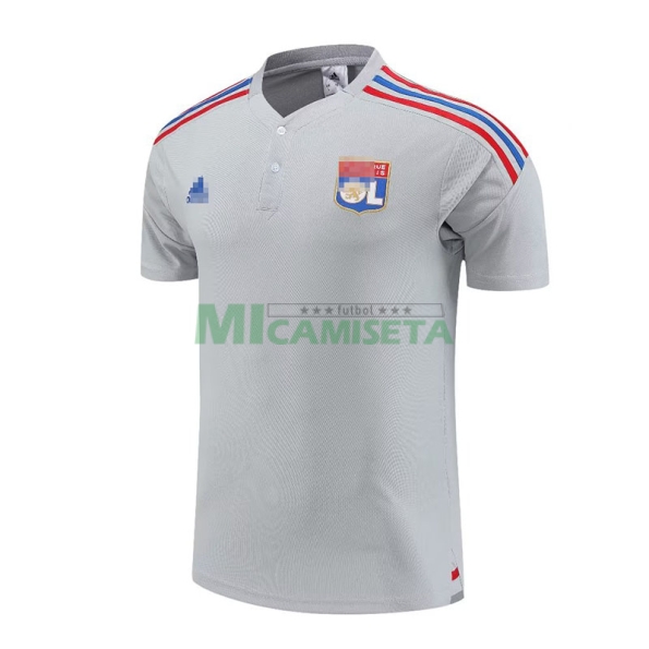 Camiseta de Entrenamiento Olympique Lyon 2023/2024 Gris