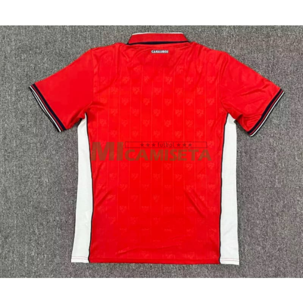 Camiseta Panamá Primera Equipación Mundial 2026 Rojo