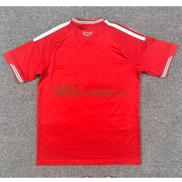 Camiseta Gales Primera Equipación Mundial 2026 Rojo