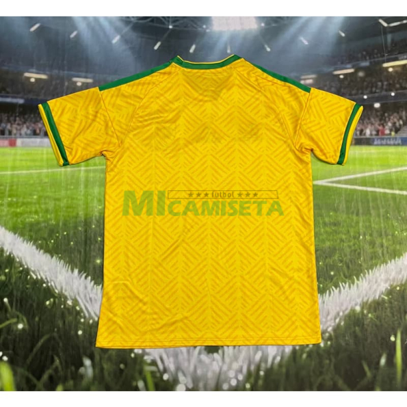 Camiseta Sudáfrica Primera Equipación Mundial 2026 Amarillo
