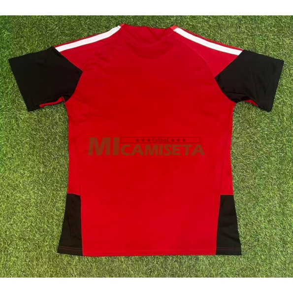 Camiseta de Entrenamiento Alemania 2026 Rojo