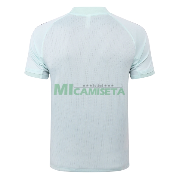 Camiseta de Entrenamiento España 2020 Verde Claro
