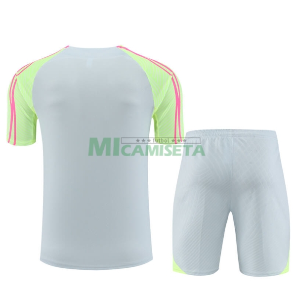 Camiseta de Entrenamiento PSG 2023/2024 Niño Kit Gris Claro/Verde