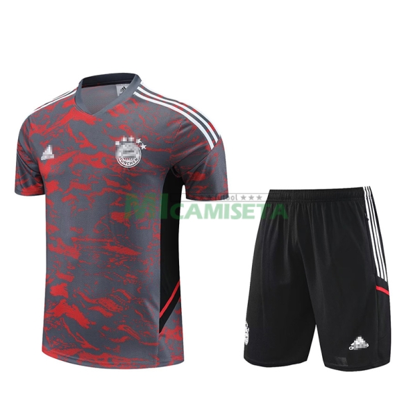 Camiseta de Entrenamiento Bayern Múnich Gris/Rojo 2023/2024