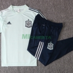 Camiseta de Entrenamiento España 2020 Verde Claro
