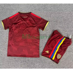 Camiseta Venezuela Primera Equipación Mundial 2026 Rojo Oscuro Niño Kit