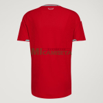 Camiseta Gales Primera Equipación Mundial 2026 Rojo
