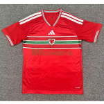 Camiseta Gales Primera Equipación Mundial 2026 Rojo