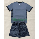 Camiseta de Portero Irland Tercera Equipación Mundial 2026 Niño Kit  Gris/Negro