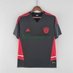 Camiseta de Entrenamiento Bayern Múnich 2022/2023 Negro/Rojo