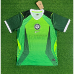 Camiseta Nigeria Primera Equipación Mundial 2026 Verde