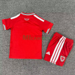 Camiseta Gales Primera Equipación Mundial 2026 Rojo Niño Kit