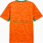 Camiseta Costa de Marfil Primera Equipación Mundial 2026 Naranja