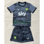 Camiseta de Portero Irland Tercera Equipación Mundial 2026 Niño Kit  Gris/Negro
