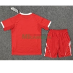 Camiseta Liverpool Primera Equipación 2025/2026 Rojo