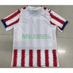 Camiseta Paraguay Primera Equipación Mundial 2026 Rojo/Blanco