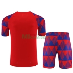 Camiseta de Entrenamiento Barcelona 2023/2024 Rojo/Azul