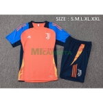 Camiseta de Entrenamiento Juventus 2024/2025 Kit Naranja/Azul