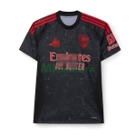 Camiseta Benfica Segunda Equipación 2024/2025