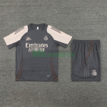Camiseta de Entrenamiento Real Madrid 2024/2025 Kit Gris Oscuro/Caqui
