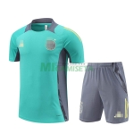 Camiseta de Entrenamiento Ajax de Ámsterdam 2024/2025 Kit Verde/Gris