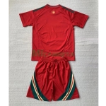Camiseta Gales Primera Equipación 2024 Niño Kit