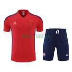 Camiseta De Entrenamiento Ajax de Ámsterdam 2022/2023 Rojo/Azul