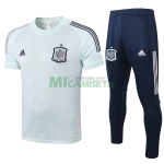 Camiseta de Entrenamiento España 2020 Verde Claro