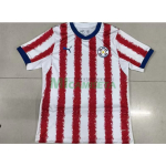 Camiseta Paraguay Primera Equipación Mundial 2026 Rojo/Blanco