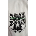 Camiseta Celta De Vigo 2025 Especial Edición Blanco