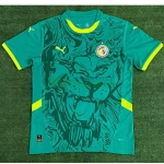 Camiseta Senegal Segunda Equipación 2025
