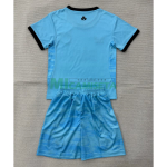 Camiseta de Portero Irland Primera Equipación Mundial 2026 Azul Niño Kit