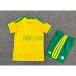 Camiseta Sudáfrica Primera Equipación Mundial 2026 Amarillo Niño Kit