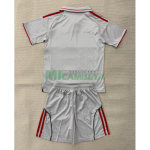 Camiseta Olympique De Lyon Tercera Equipación 2025/2026 Gris