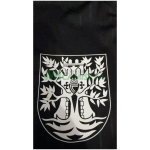 Camiseta Celta De Vigo 2025 Especial Edición Negro