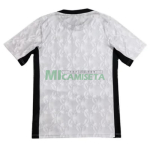 Camiseta PSG 2026/2027 Pre-Match Gris