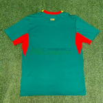 Camiseta Senegal Segunda Equipación Mundial 2026 Verde