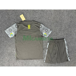 Camiseta Brasil 2024 Especial Edición Negro/Gris