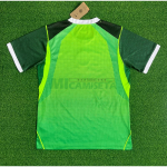 Camiseta Nigeria Primera Equipación Mundial 2026 Verde