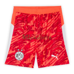 Camiseta de Portero Borussia Dortmund 2025/2026 Naranja