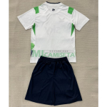 Camiseta Irland Segunda Equipación Mundial 2026 Blanco/Verde Claro