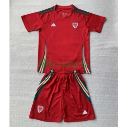 Camiseta Gales Primera Equipación 2024 Niño Kit