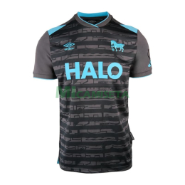 Camiseta Ipswich Town Tercera Equipación 2025/2026 Gris/Azul Claro